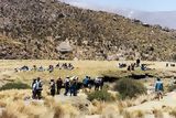 Travaux des champs communautaires,  la sortie d'Arequipa