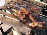 Cochon d'Inde grill