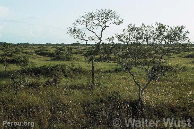 Santuaire National Pampas del Heath