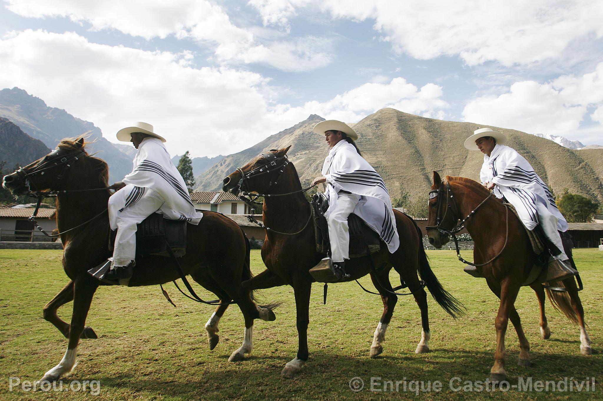 Chevaux de pas