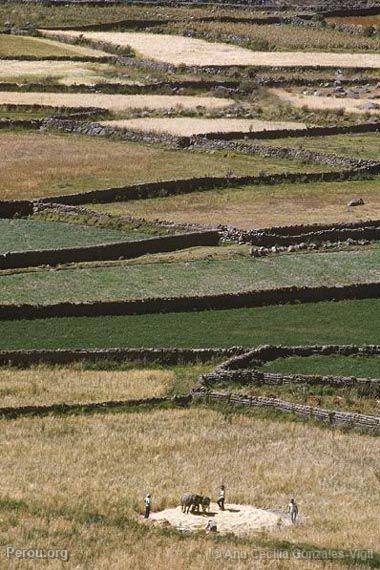 Valle du Colca