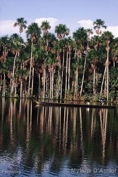 Lac Sandoval, Manu