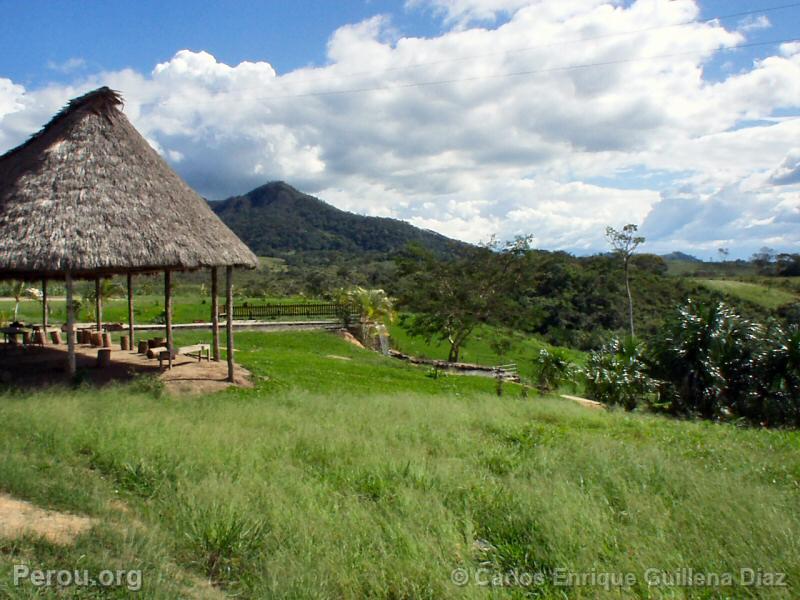 Recreo Miln, Moyobamba