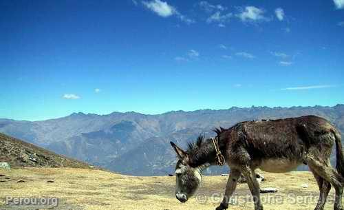 Cordillre Blanche