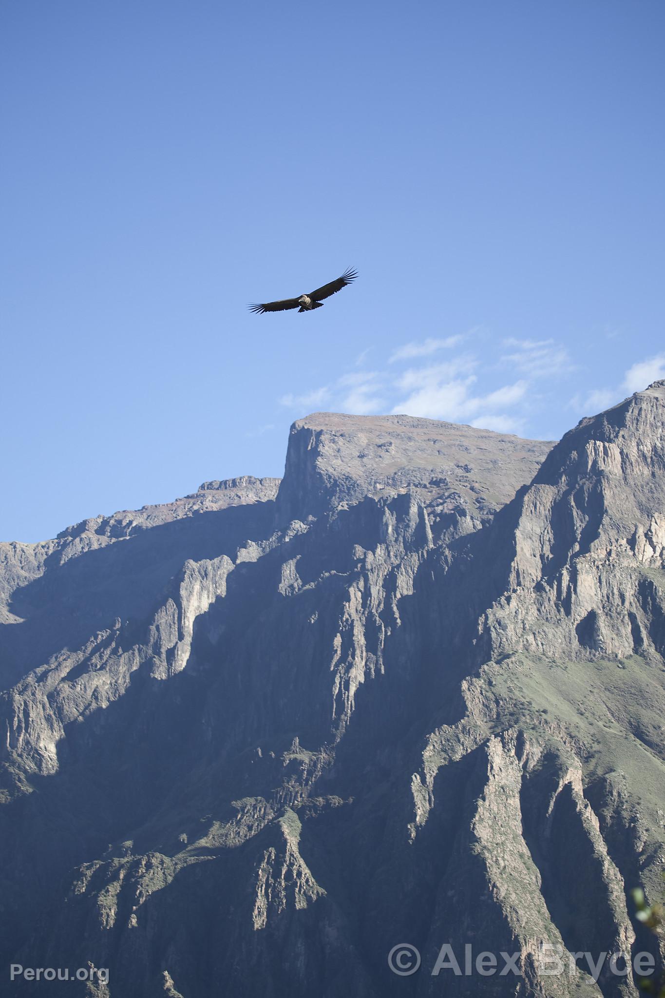 Canyon de Colca