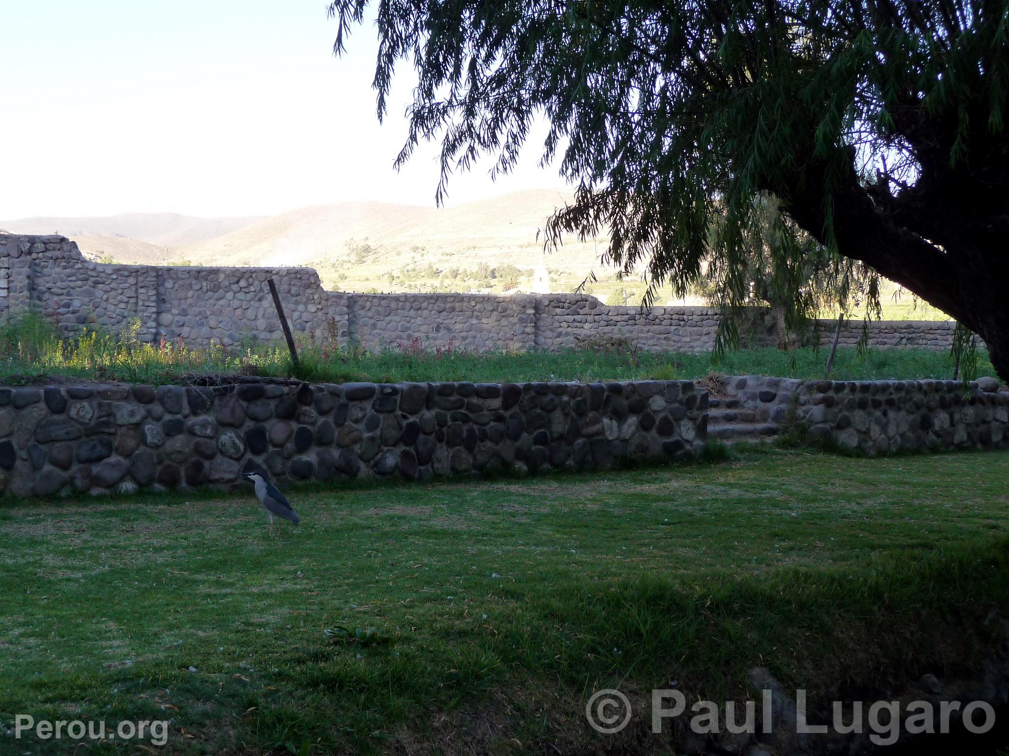 Arequipa