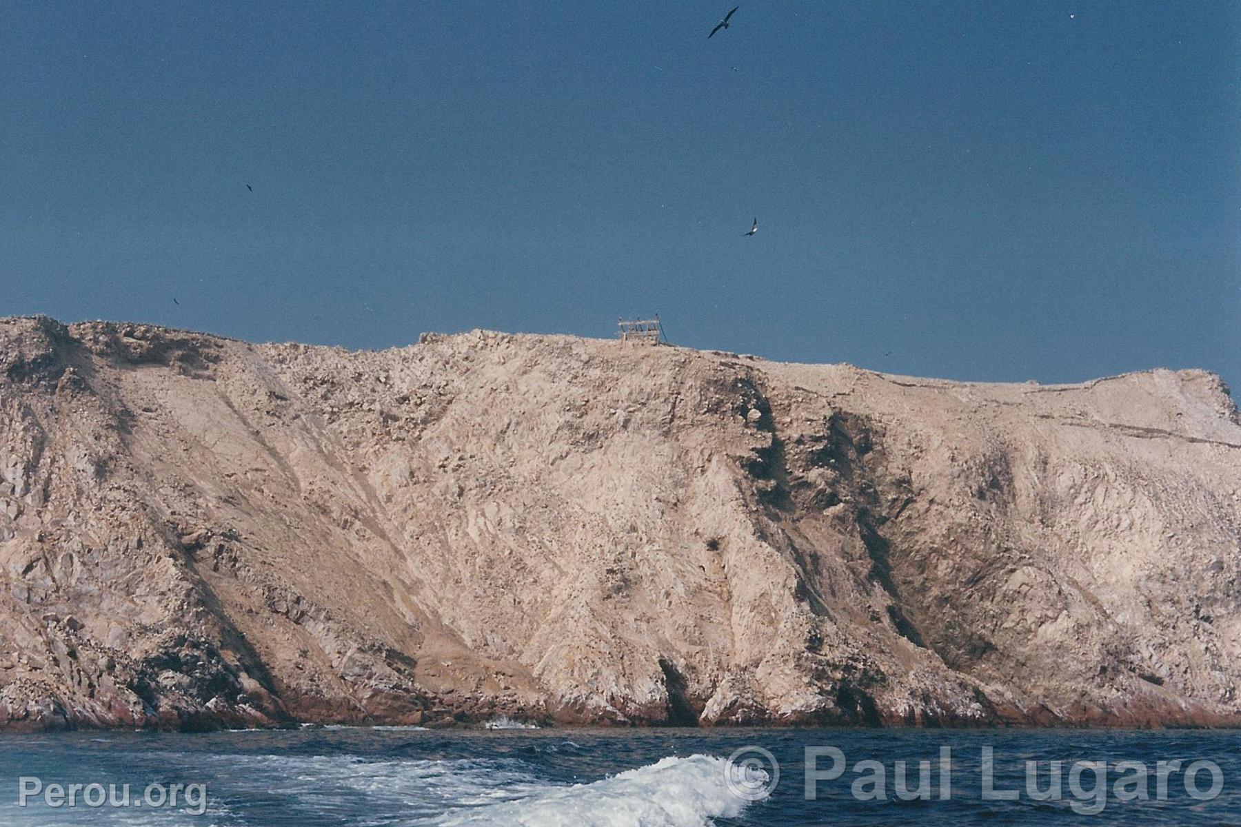 Iles Ballestas, Paracas