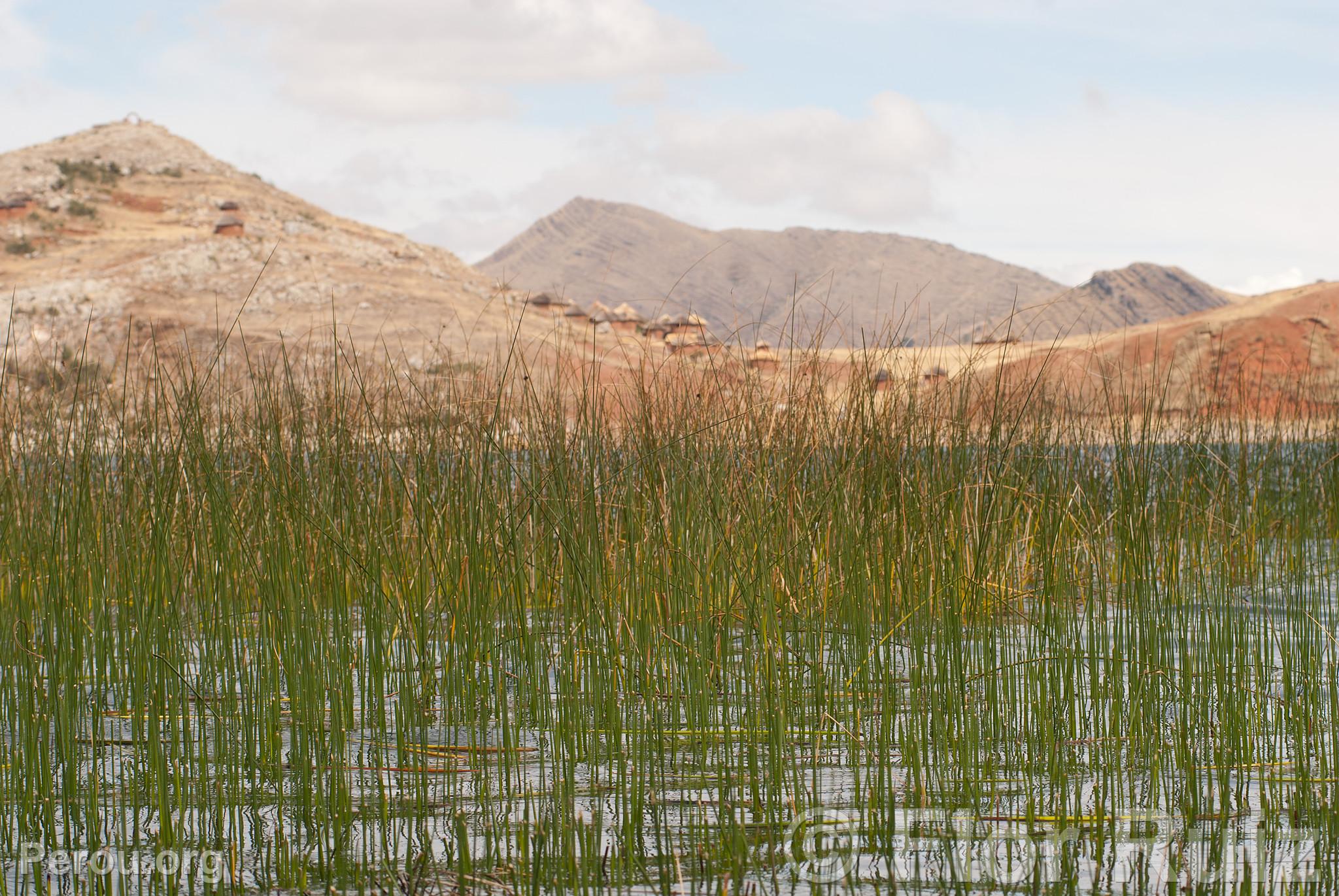 le Tikonata sur le lac Titicaca