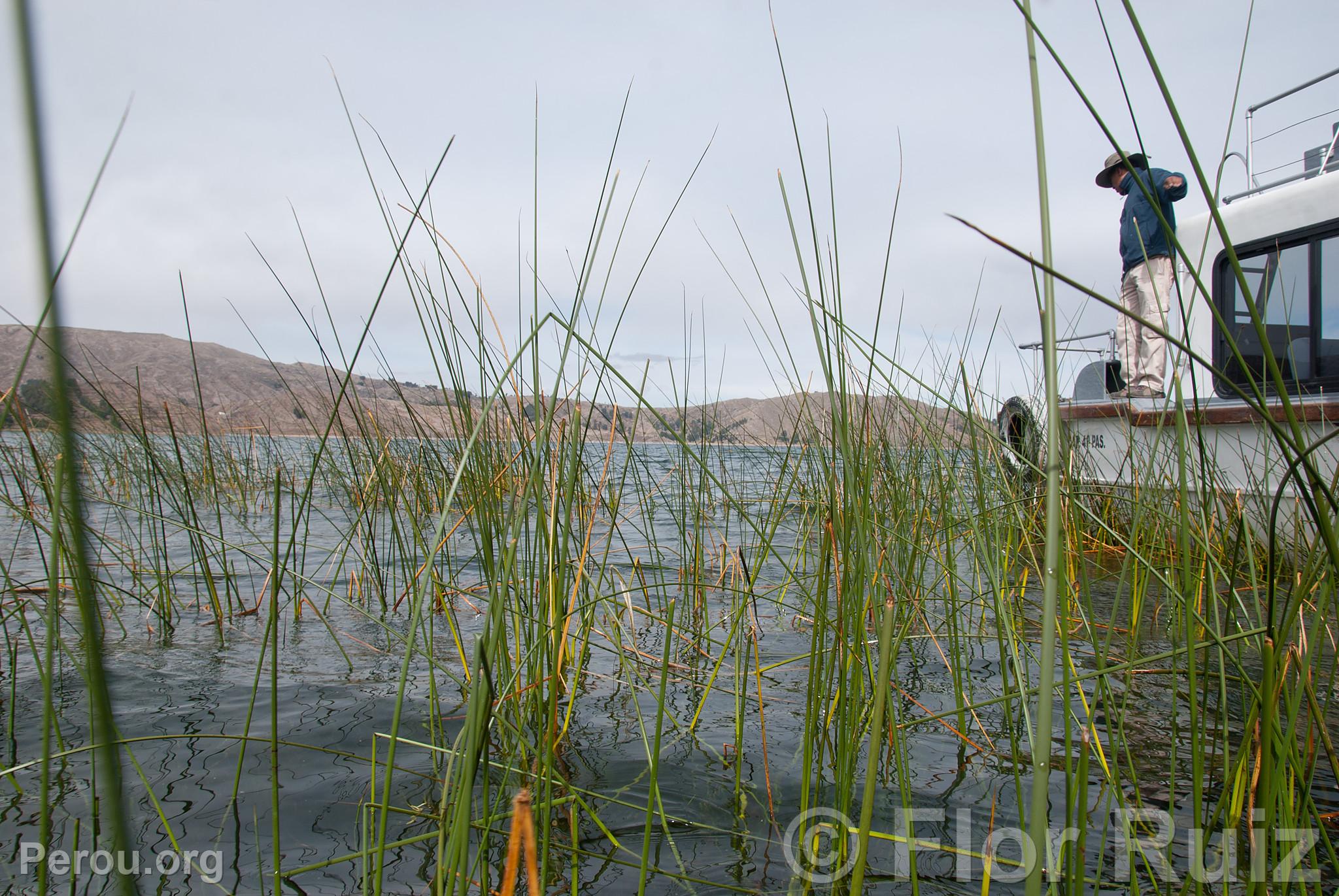 Lac Titicaca