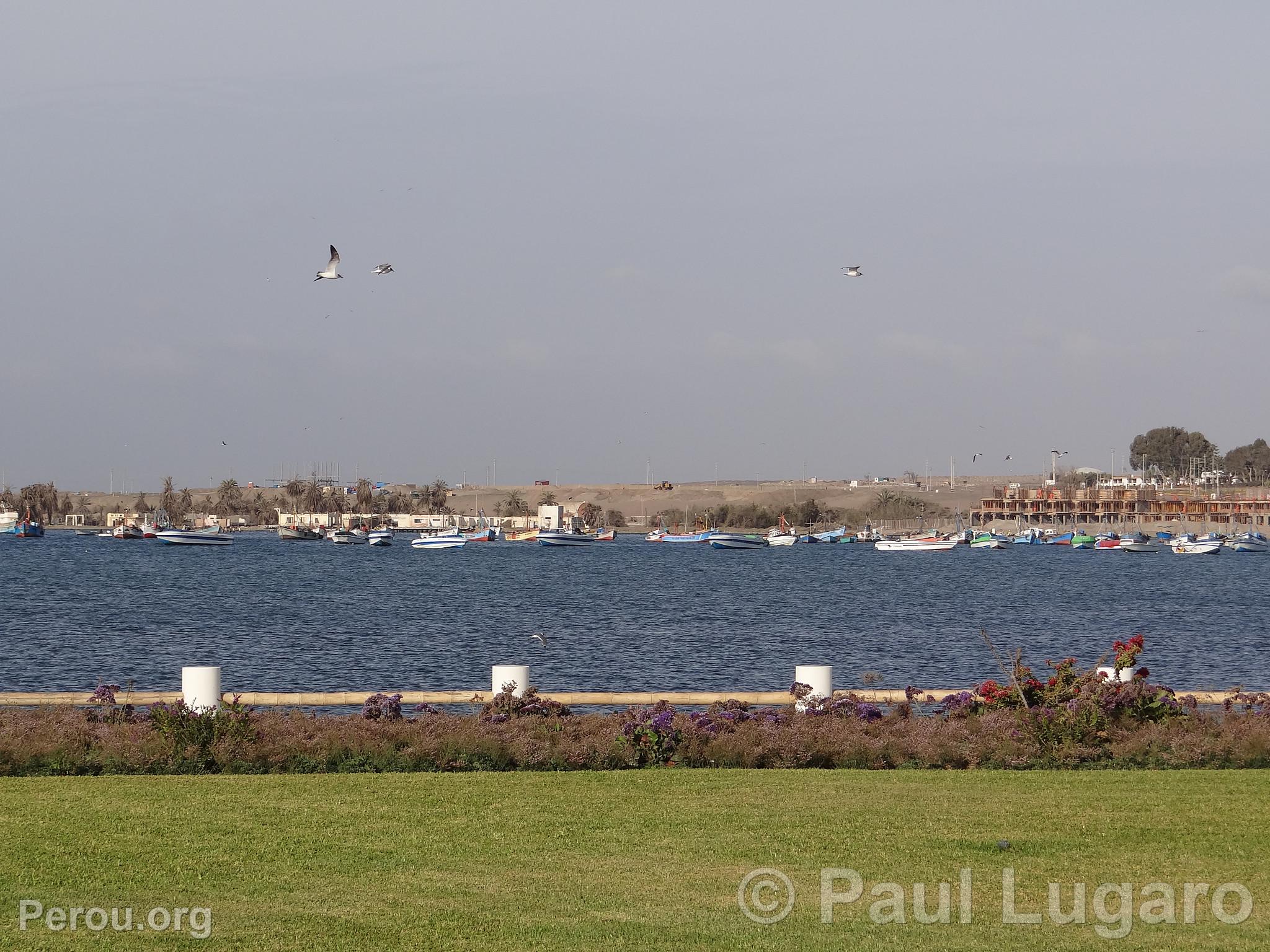 Paracas