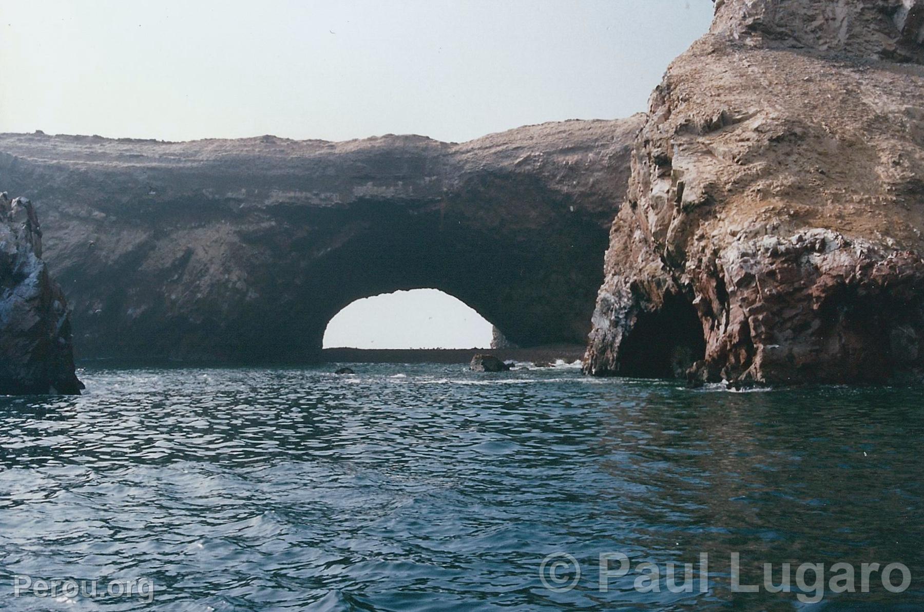 Iles Ballestas, Paracas