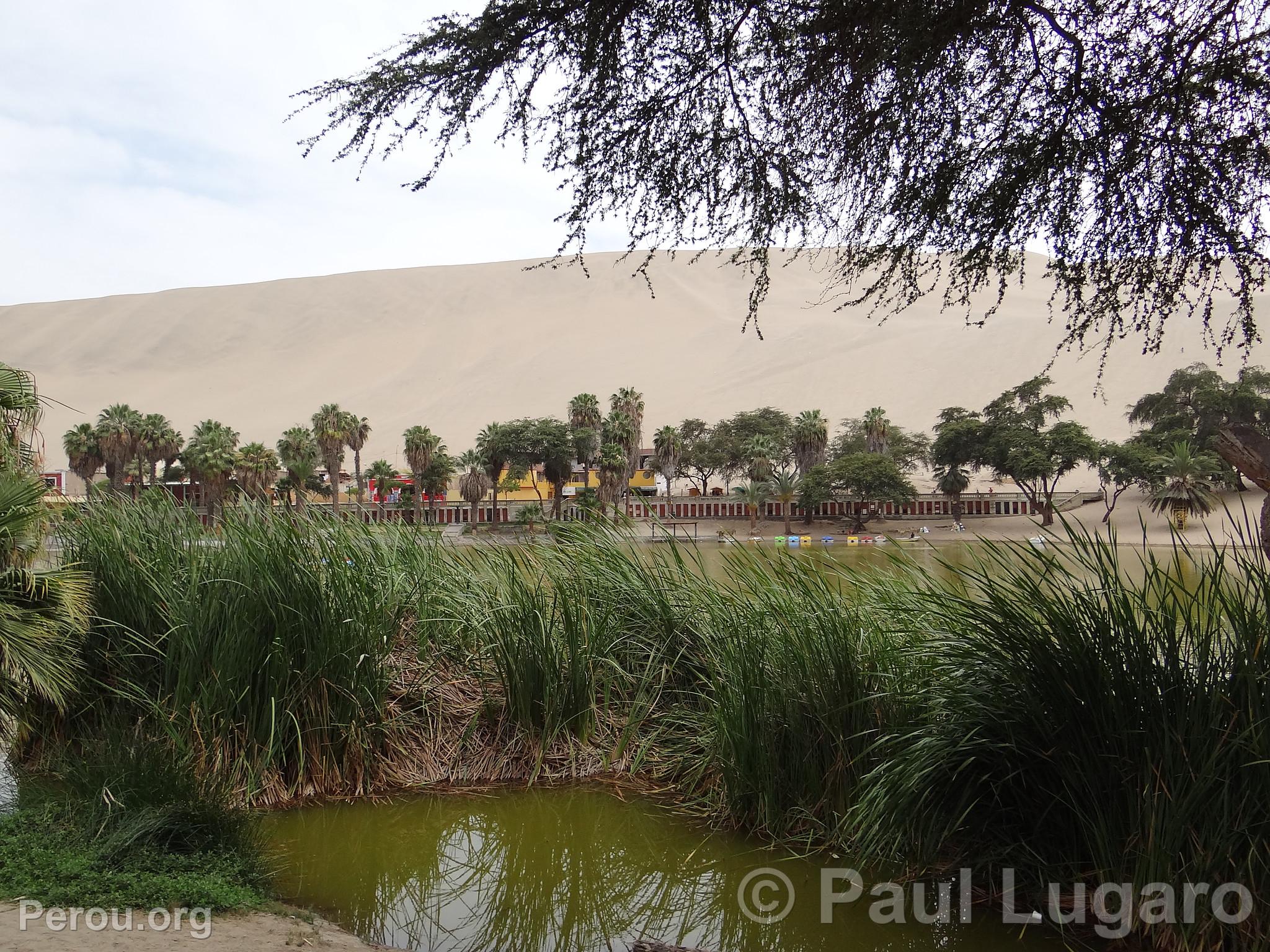 Huacachina