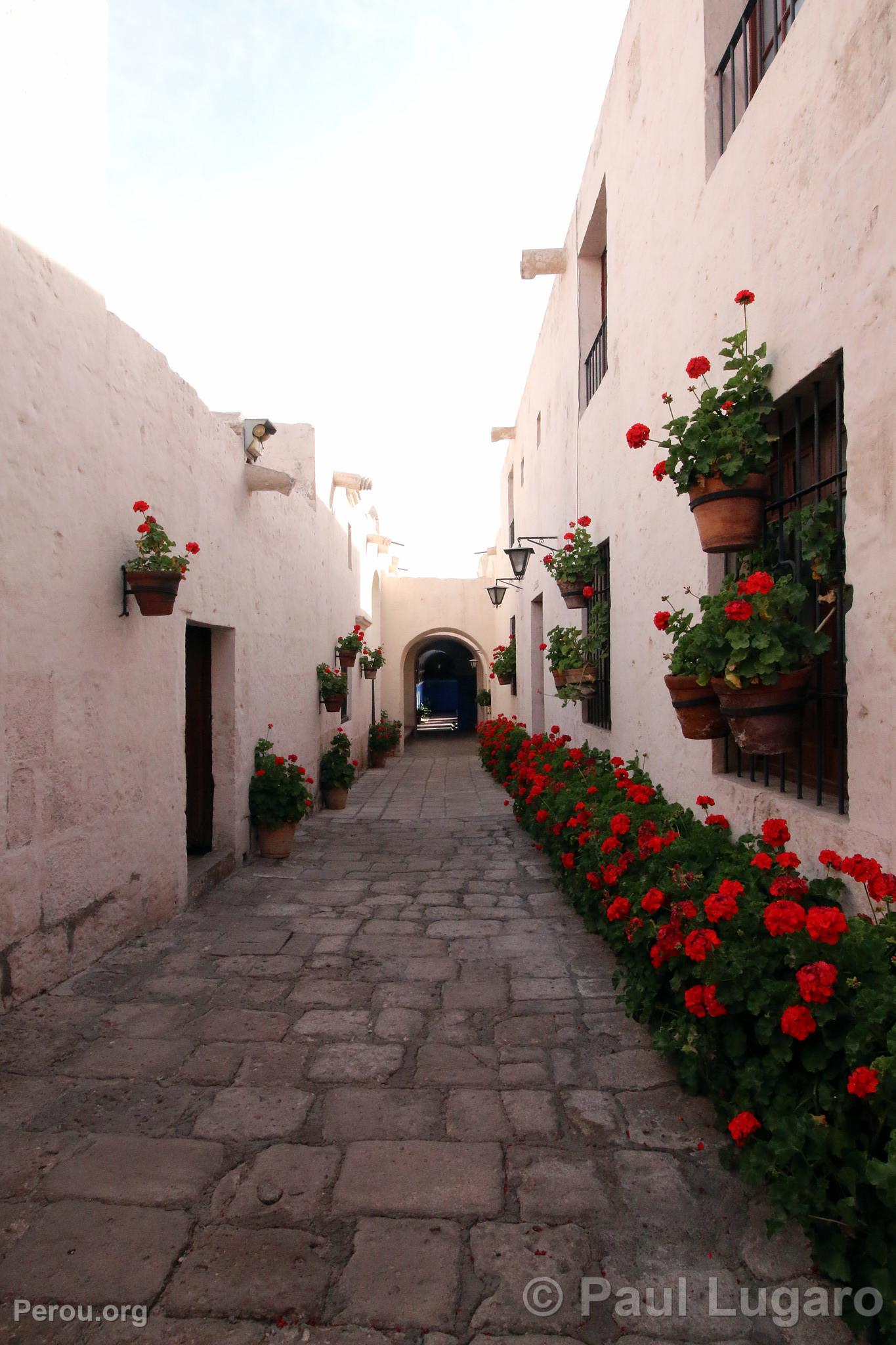 Couvent de Santa Catalina, Arequipa