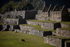 Citadelle de Machu Picchu