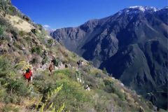 Canyon de Colca