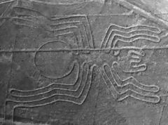 L'Araigne, Nazca