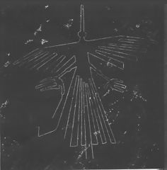 L'Oiseau, Nazca