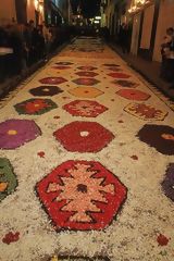 Tapis de ptales