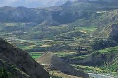 Canyon de Colca