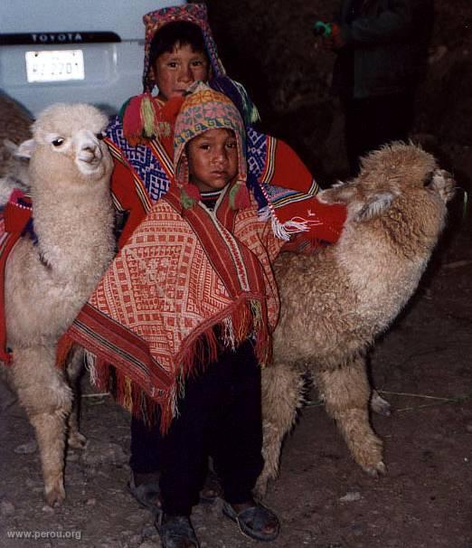 Enfants et lamas prs de Cusco, Cuzco