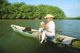 Pêcheur dans la mangrove, Tumbes