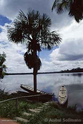 Lac Sandoval, Manu