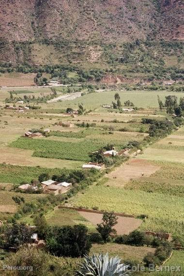 Vallée de Huánuco