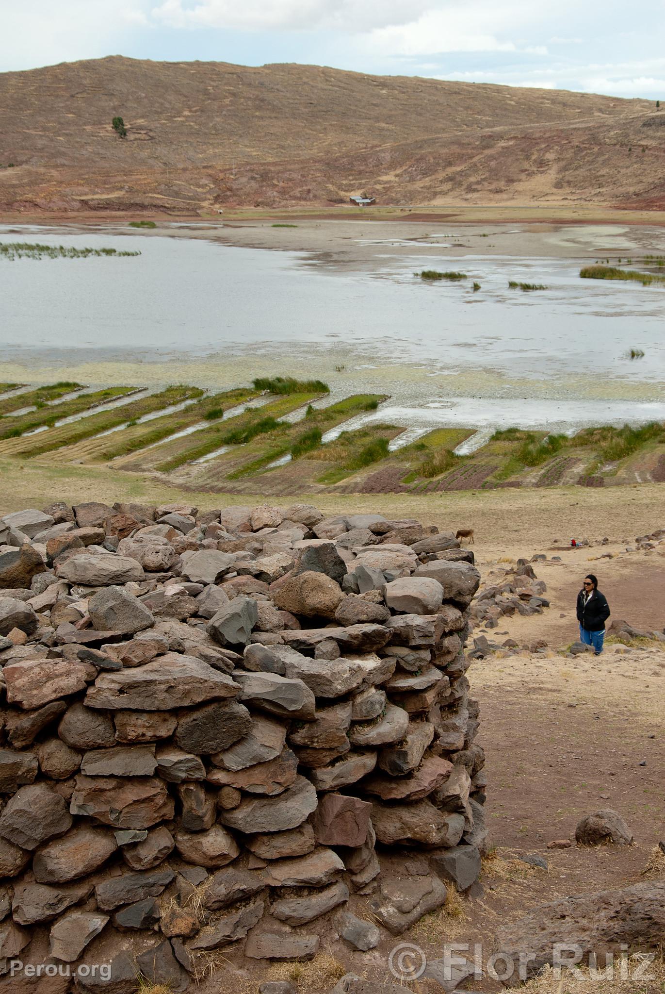 Chullpas de Sillustani