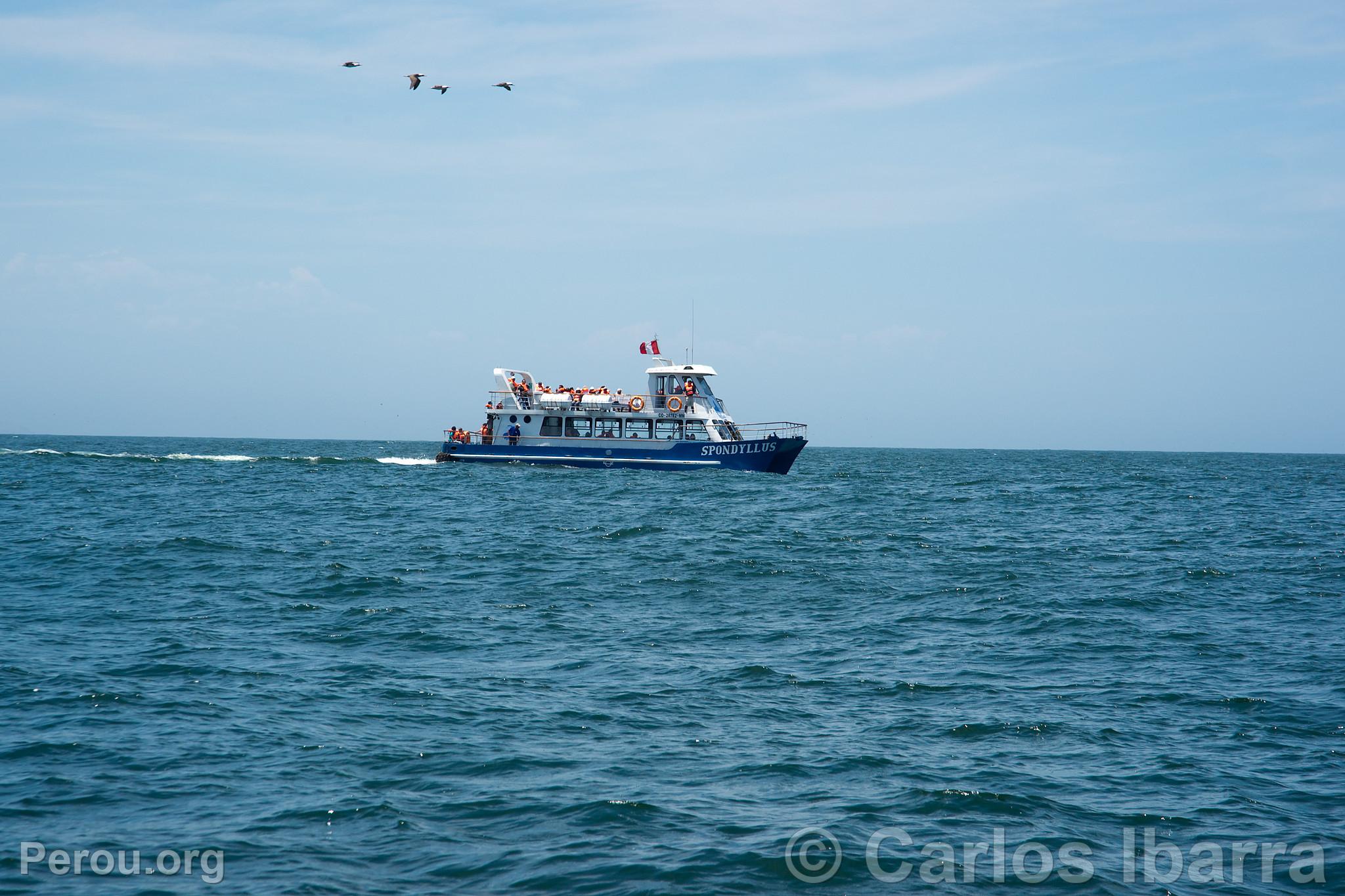 Yacht avec touristes aux les Palomino, Callao