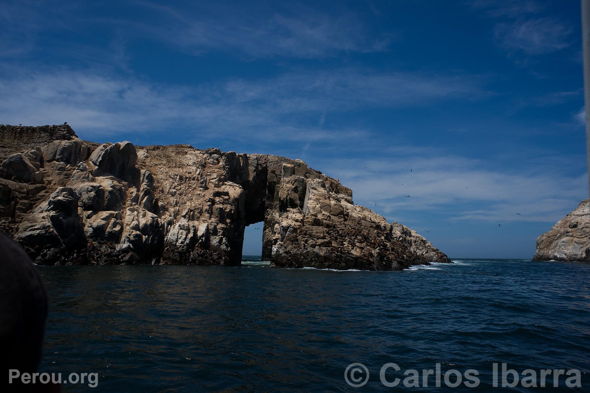 Îles Palomino, Callao