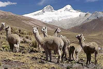 Montagne Pariacaca  Huarochir