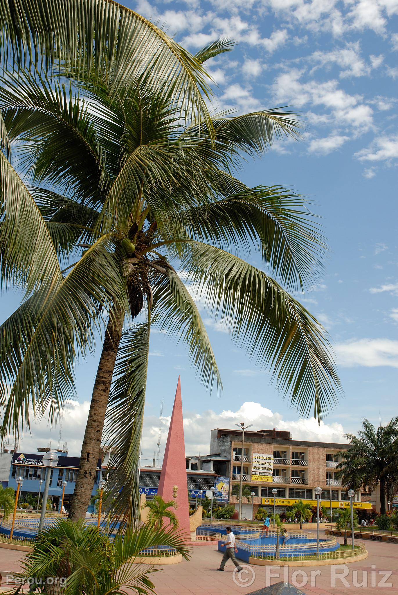 Place d'Armes de Tapapoto, Tarapoto