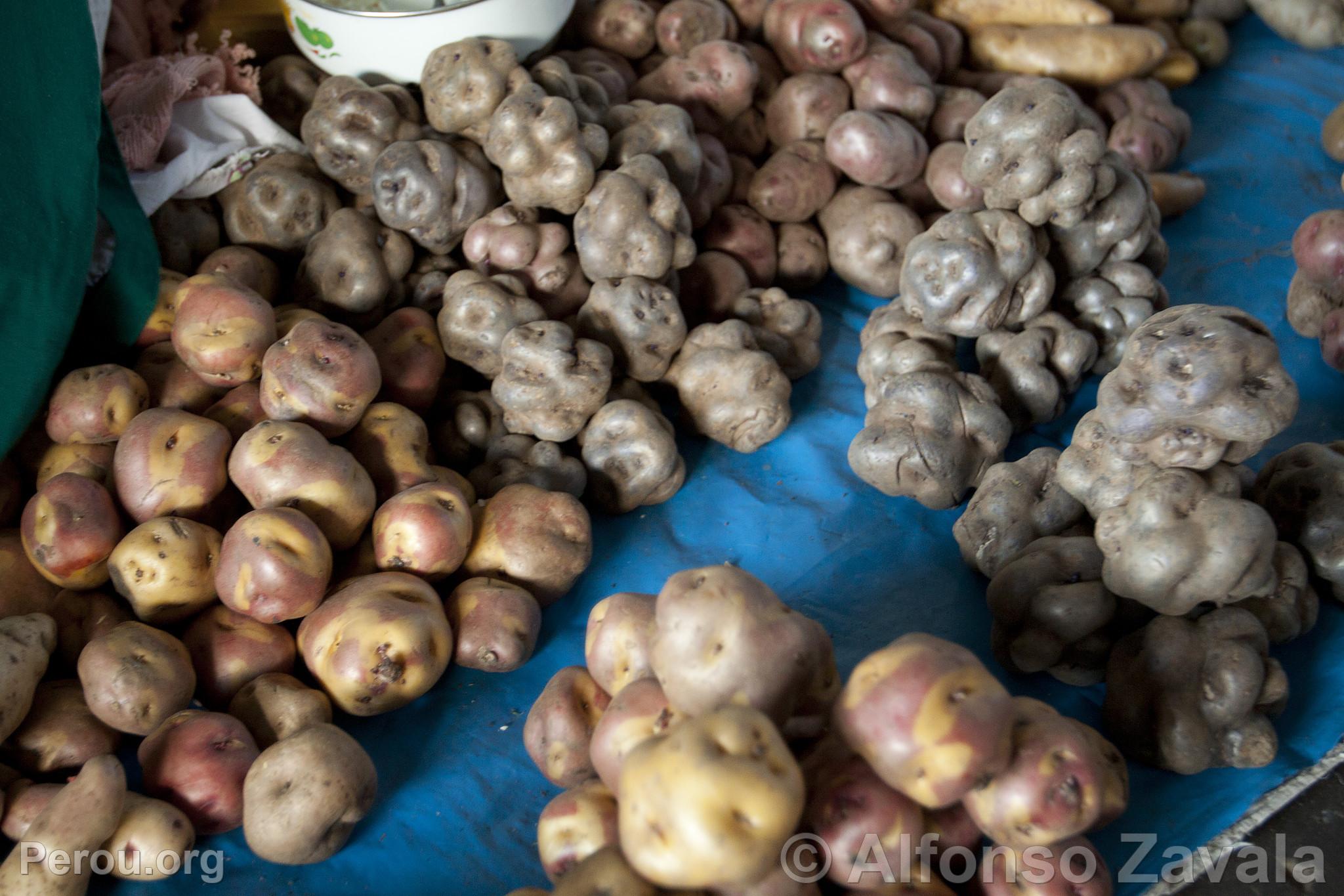 Marché de San Pedro