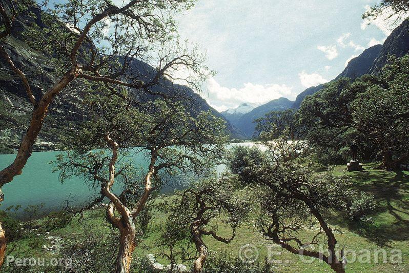 Lagune de Llanganuco