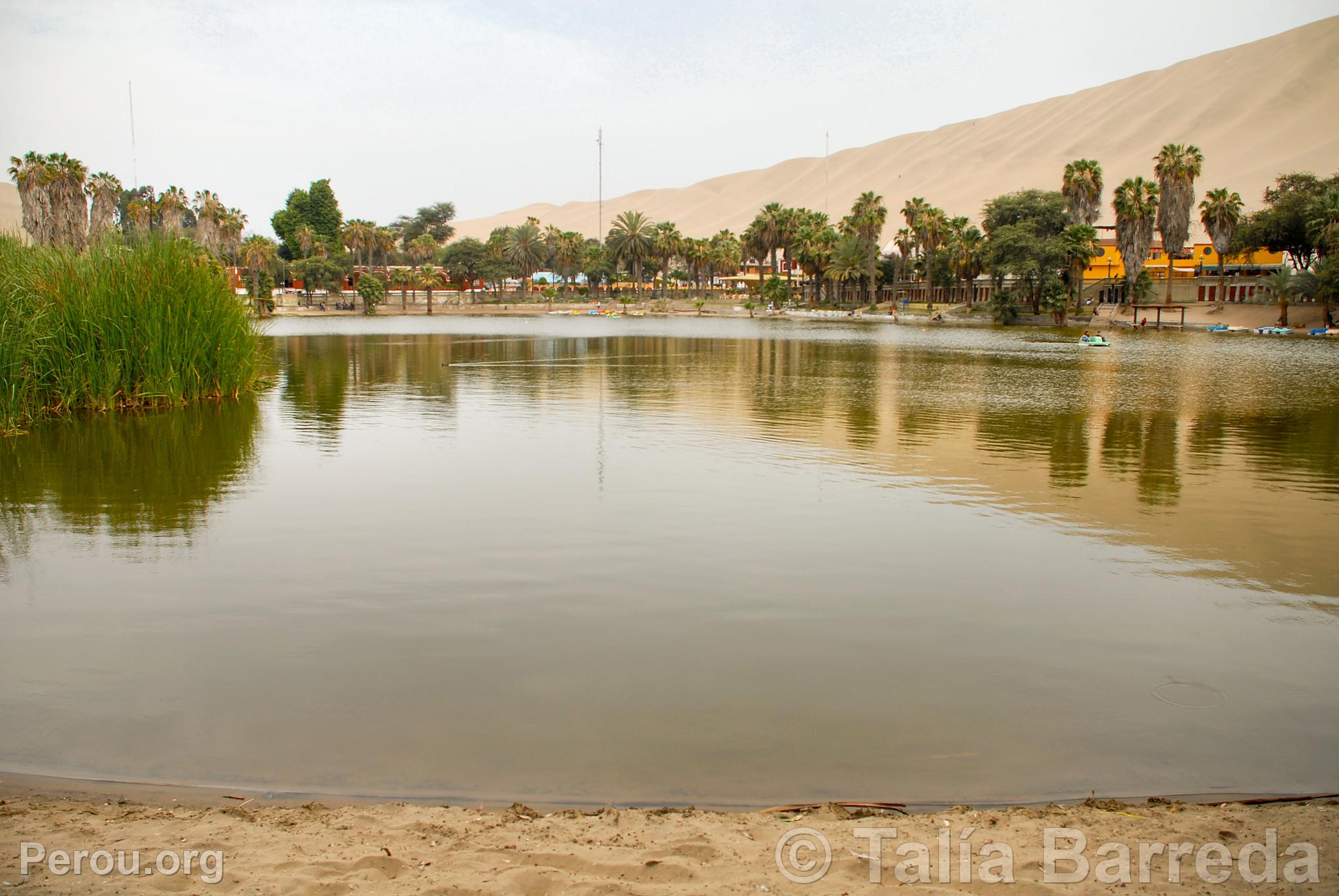 Lagune de Huacachina