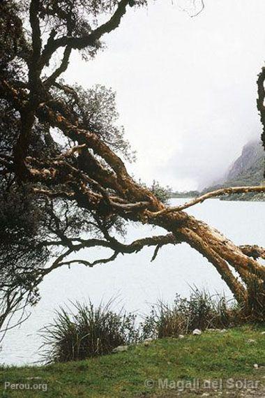 Paysage de l'Ancash