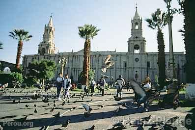 Cathdrale, Arequipa