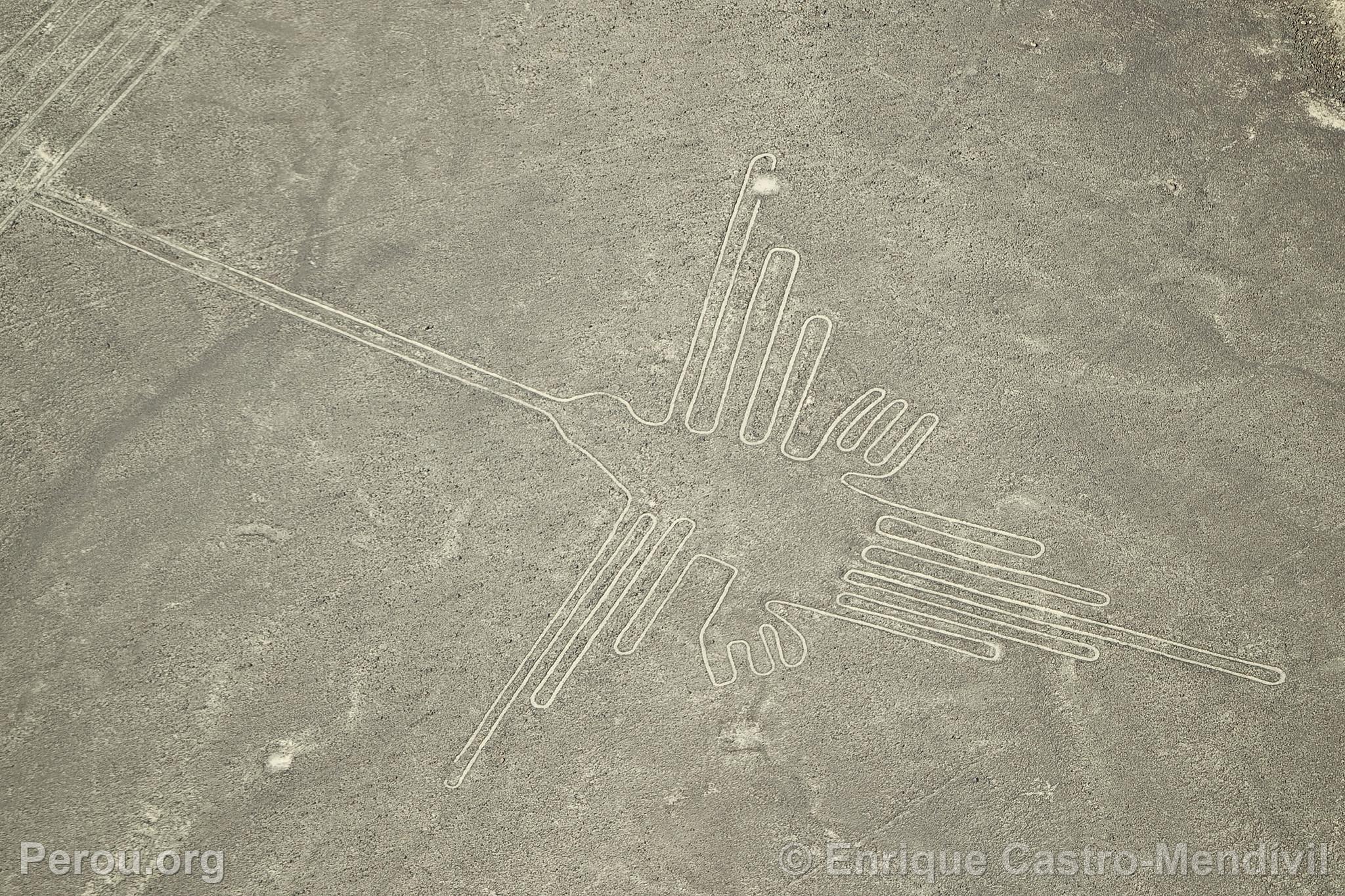 Lignes de Nazca