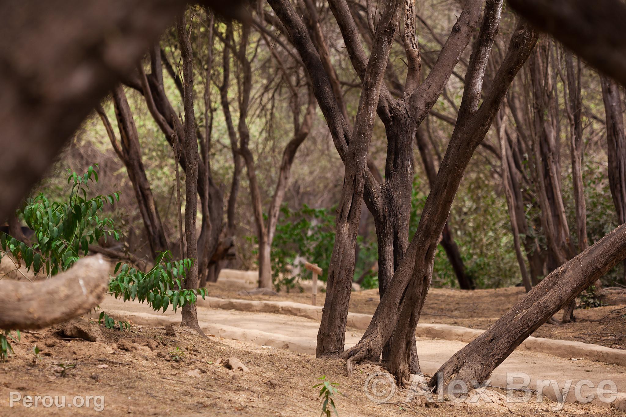 Valle des Pyramides de Tcume