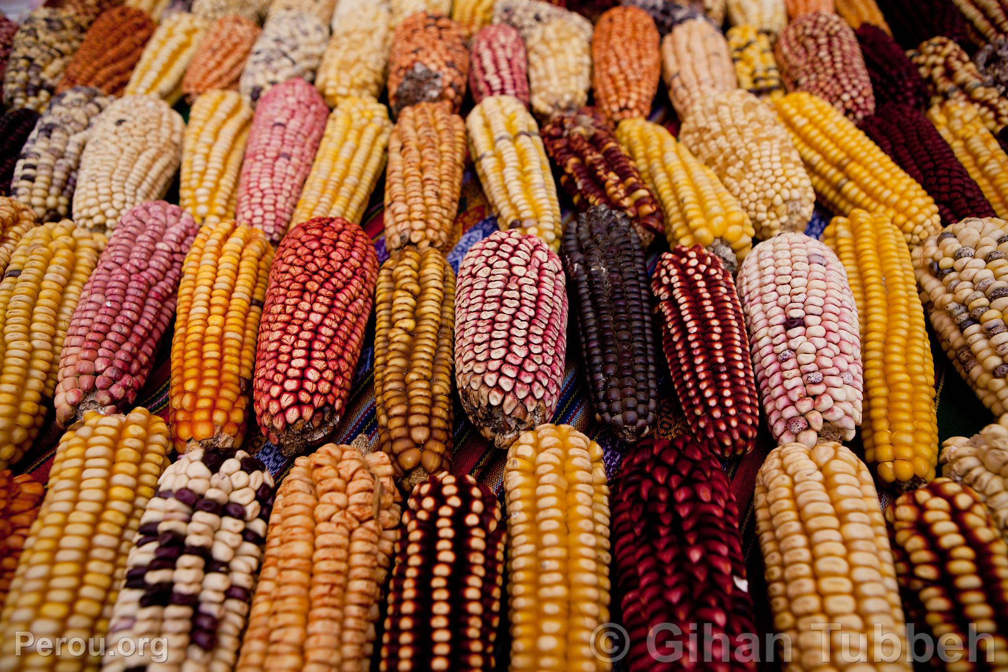Varits de mas