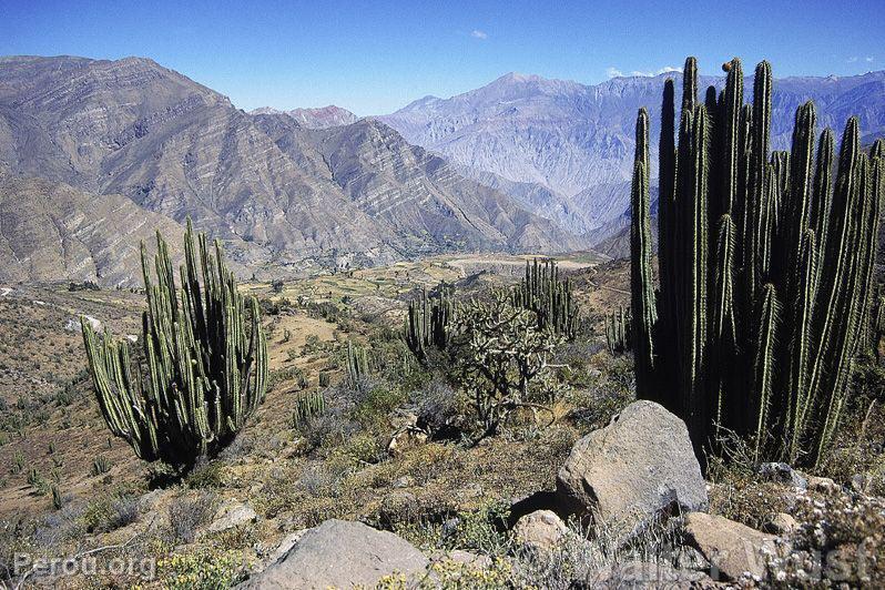 Valle du Colca