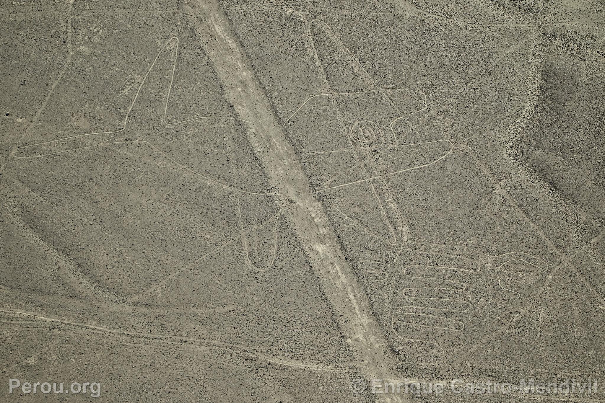 Lignes de Nazca