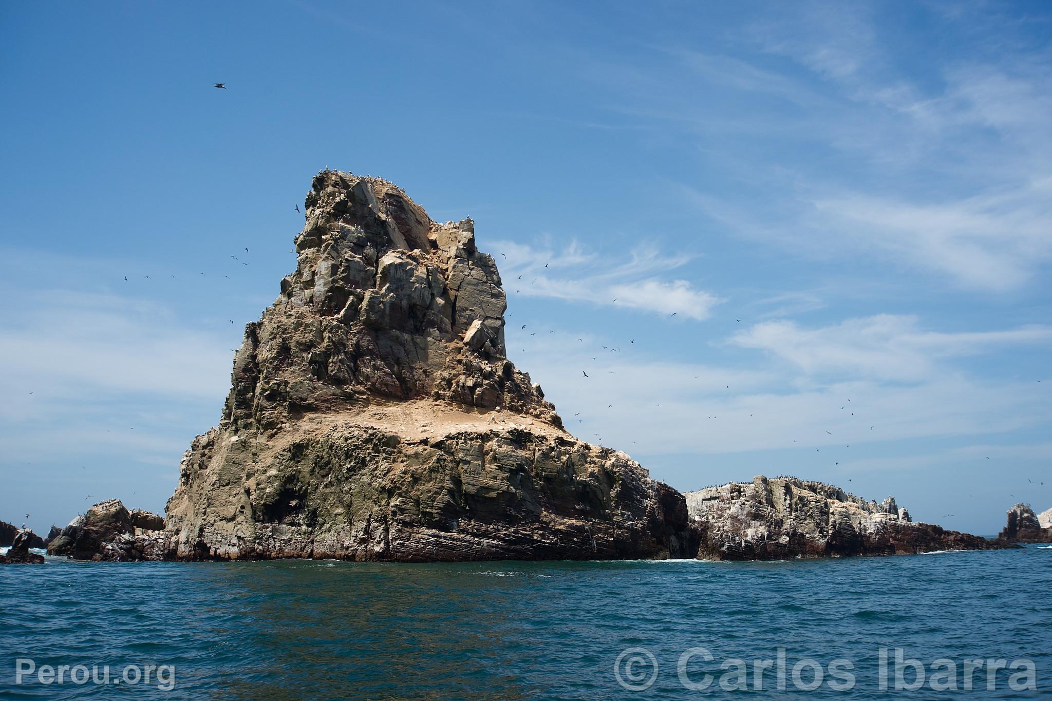 lot des les Palomino, Callao