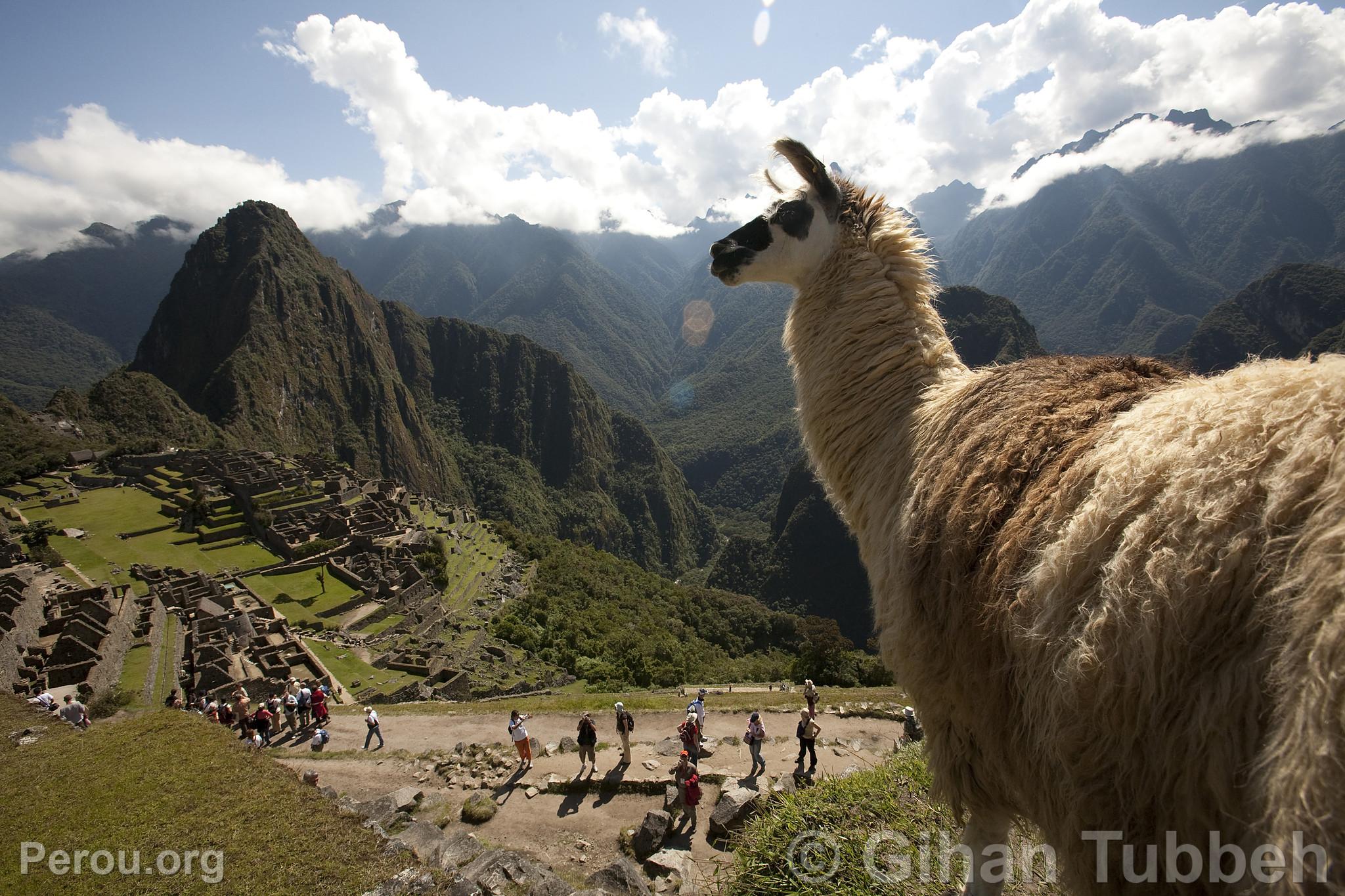 Citadelle de Machu Picchu