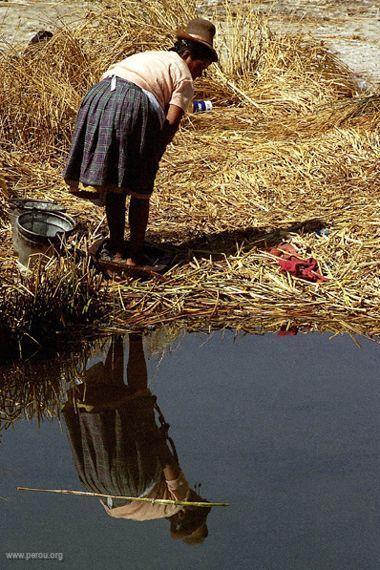 Ile flottante, Uros