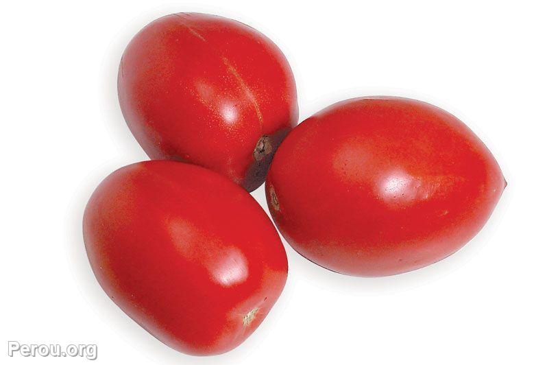 Tomate