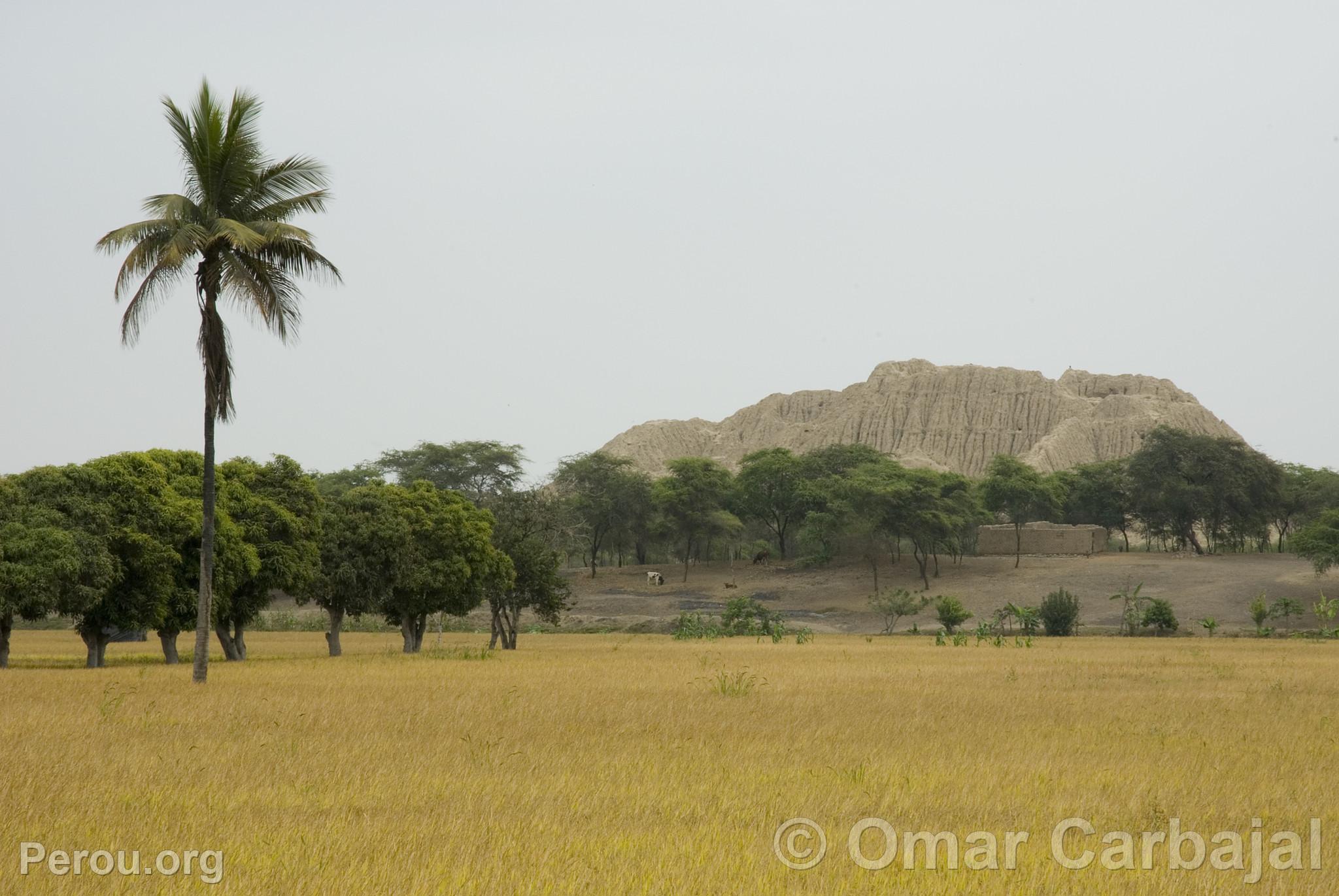 Vallée des Pyramides de Túcume