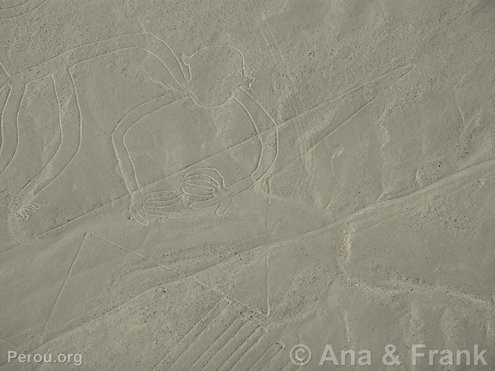 Nazca