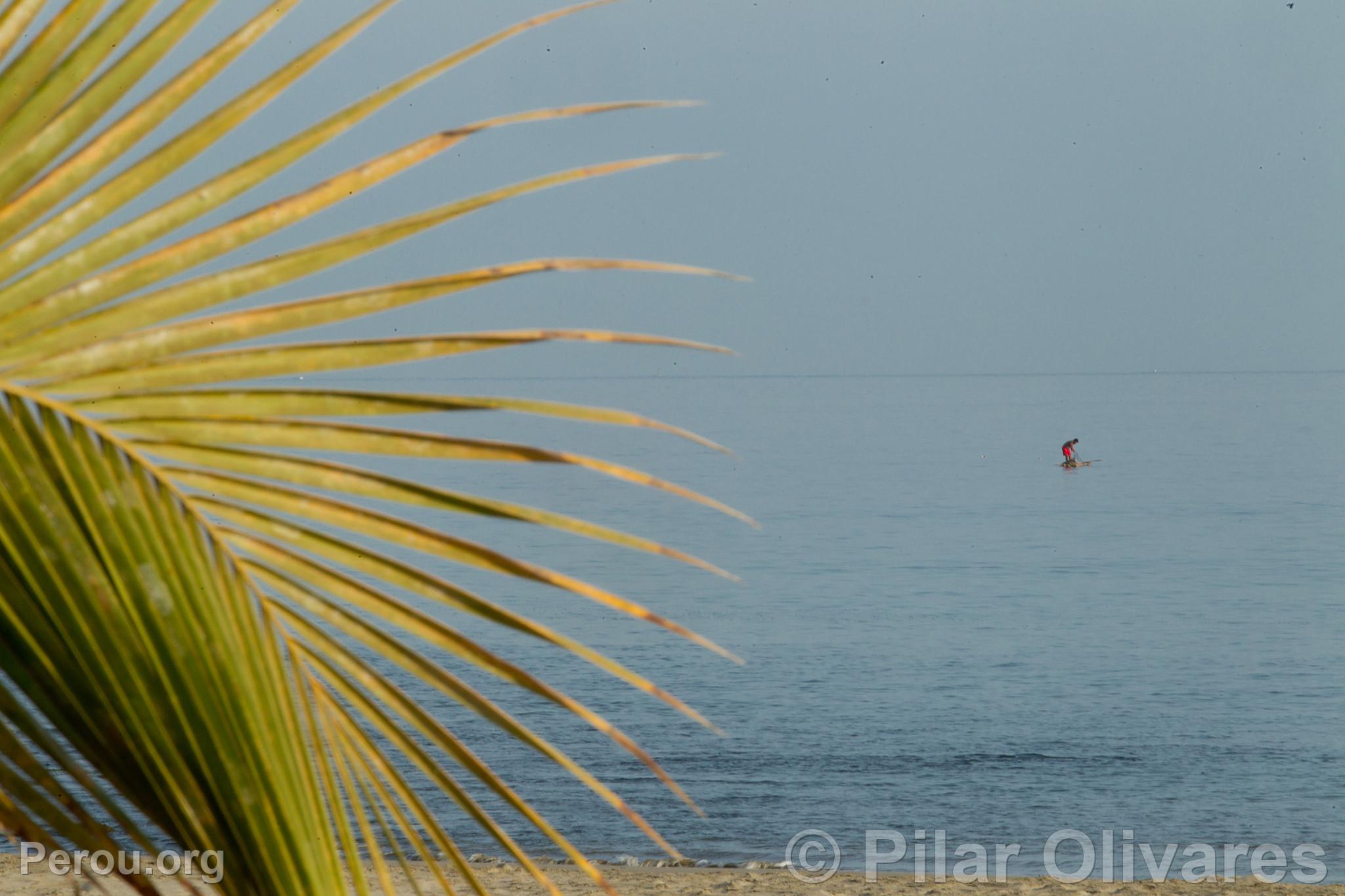 Plage Cabo Blanco