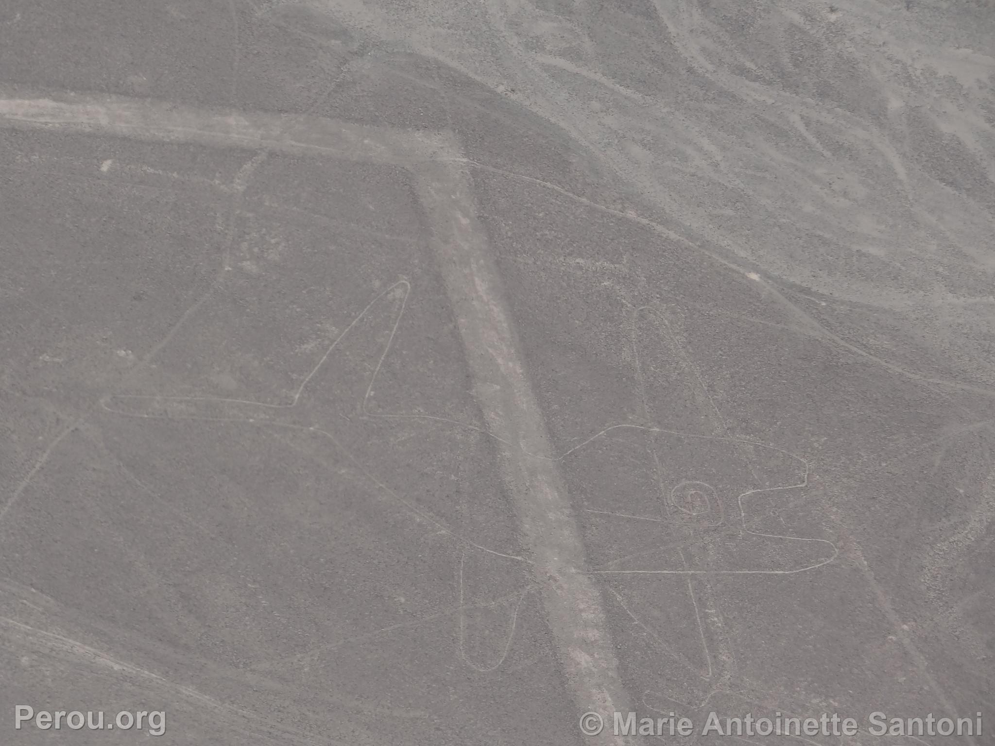 Lignes de Nazca